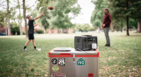 make you refridgerator green