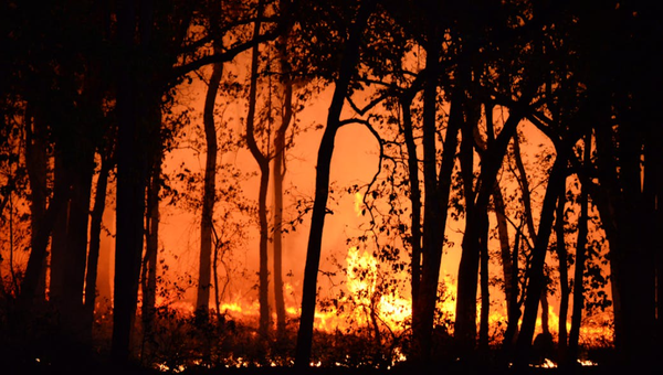 Bushfire Season Review: Emergency Power Preparedness