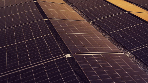 Everything You Need to Know About Solar Farms in Australia