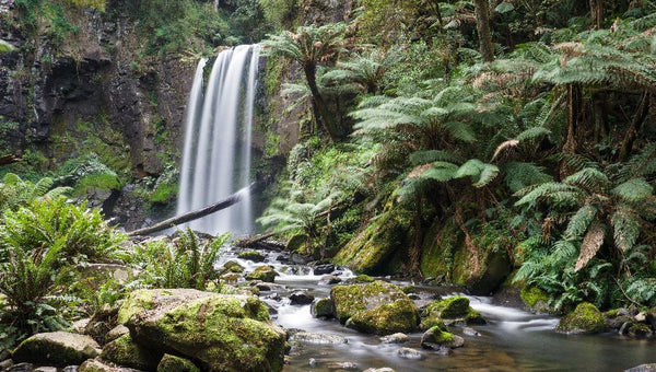 Great Ocean Road Trip