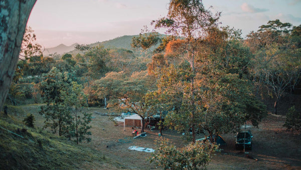 Your Guide to 1770 Camping, Powered Sites and Caravan-Ready Campgrounds