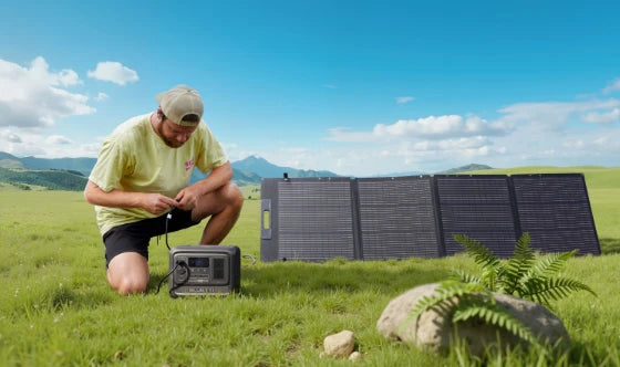 Flexible Wattage Options