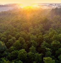 Creating a cleaner world