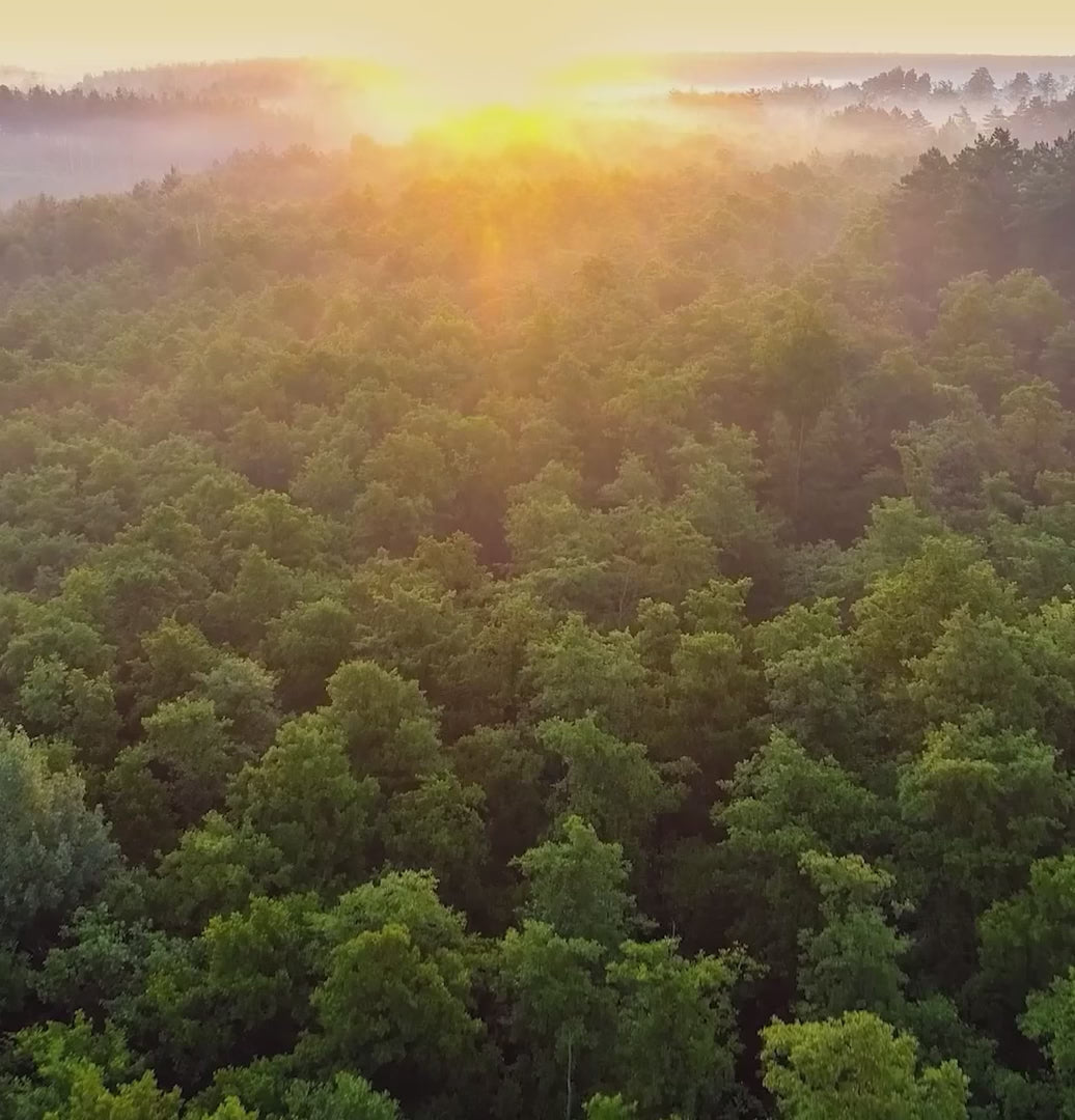 Creating a cleaner world